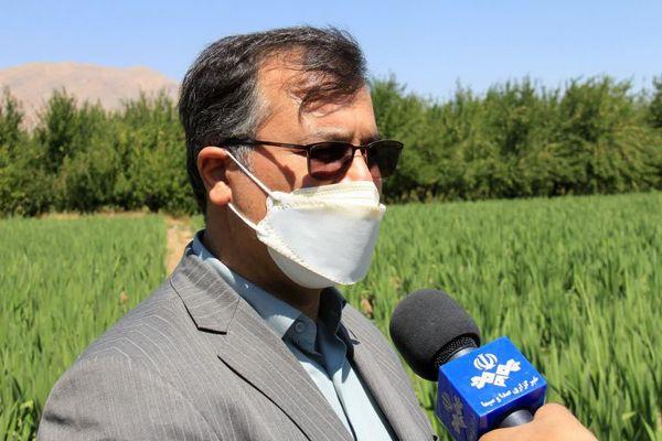 تقاضای دریافت تسهیلات برای راه اندازی ۲۰۰ هکتار گلخانه به بانک‌ها ارسال شد خشکسالی 3 هزار میلیارد تومان به بخش کشاورزی خسارت وارد کرد 