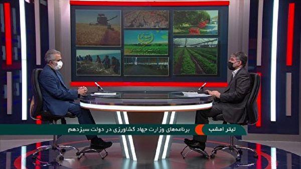 خشکسالی عامل کاهش تولید گندم در کشور تعیین قیمت 7500 تومانی گندم برای سال زراعی جدید 