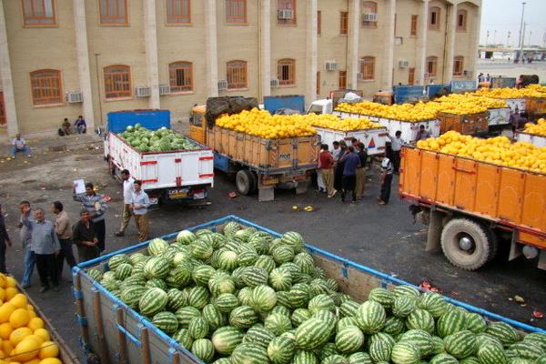 هیچ نارنگی نارسی روانه بازارهای خارجی نشد   صادرات کیوی تا ۱۵ مهر ممنوع است