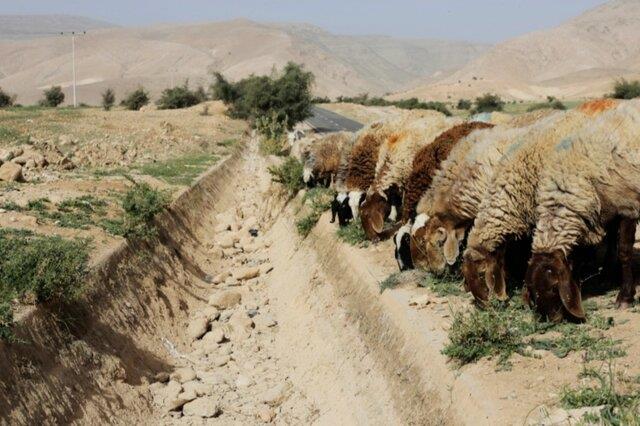  تشدید کم آبی ناشی از تغییرات اقلیمی در عراق