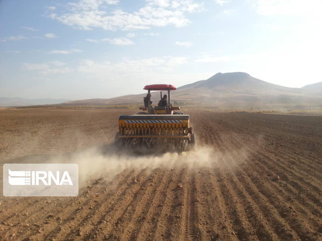  پنج هزار هکتار اراضی بوشهر زیر پوشش کشاورزی قراردادی رفت