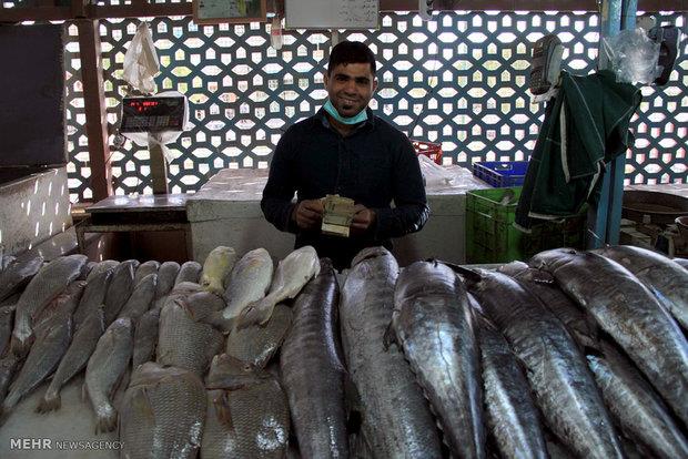 برای نخستین بار در کشور انجام شد؛ تولید محصولات فرآوری شده ماهیان گرمابی