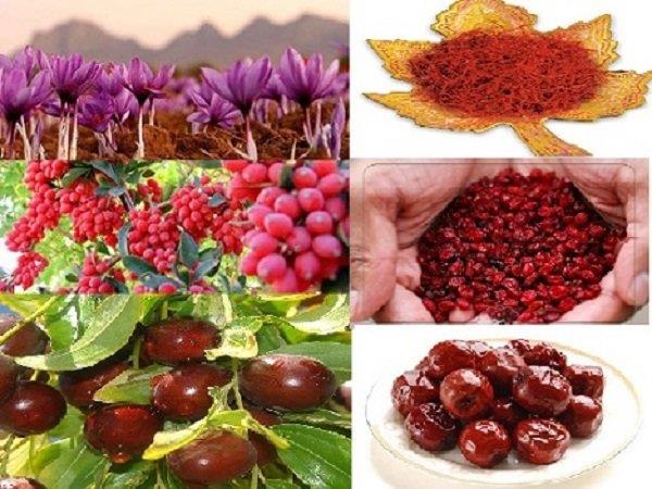 ثبت جهانی زرشک، زعفران و عناب خراسان جنوبی 