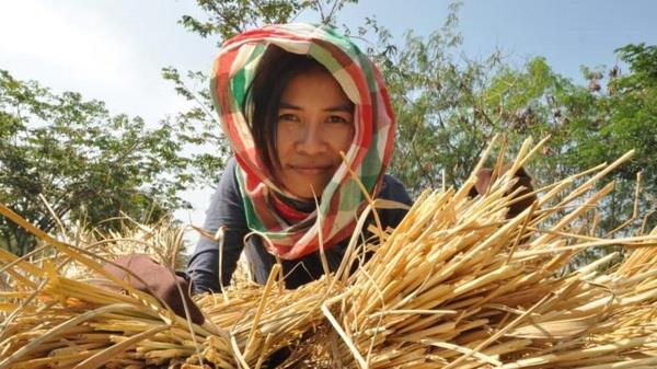 ثبات نسبی شاخص قیمت مواد غذایی در اولین ماه سال میلادی جدید   سازمان خوار و بار و کشاورزی ملل متحد (فائو) گزارش داد: