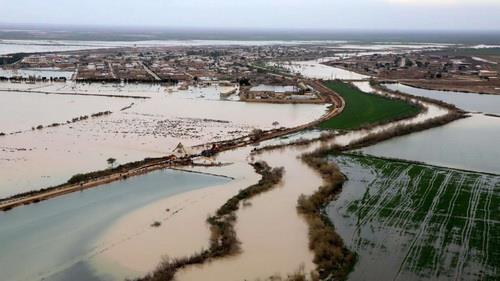  سیلاب فروردین یک سوم سطح زیر کشت در خوزستان را از بین برد